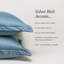 Velvet Dreams Euro Sham Cover 2Pc Set-106502038