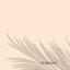 Paillasson Bonjour 30 x 10 po Bonjour Coco
