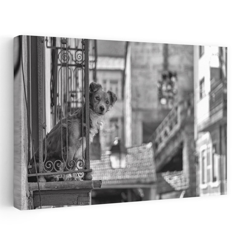 Curious Dog On Balcony Classic Rustic Vintage Dog Architecture City Wall Art Print, 60.96cm H x 91.44cm W