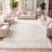 Felicdad Shag Plush Cream Rug-1154250278