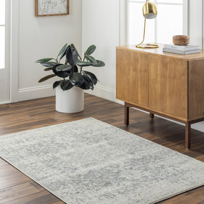 Oriental Indoor Rug