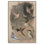 Illustration d'oiseaux sur toile, histoire naturelle, par 