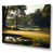 Wrapped Canvas