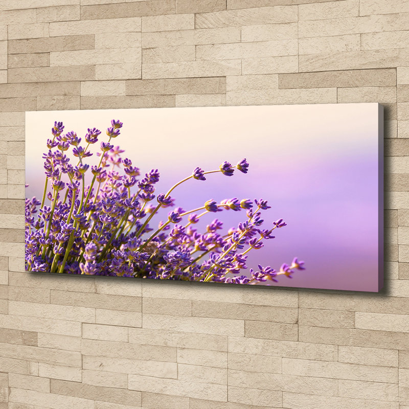 Lavender - No Frame Print, Canvas, 50cm H x 125cm W x 2cm D