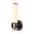 Jahquell Iron/Acrylic Armed Sconce