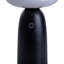 Alleria 22.5cm Solar Powered Integrated LED Outdoor Table Lamp-1562605588