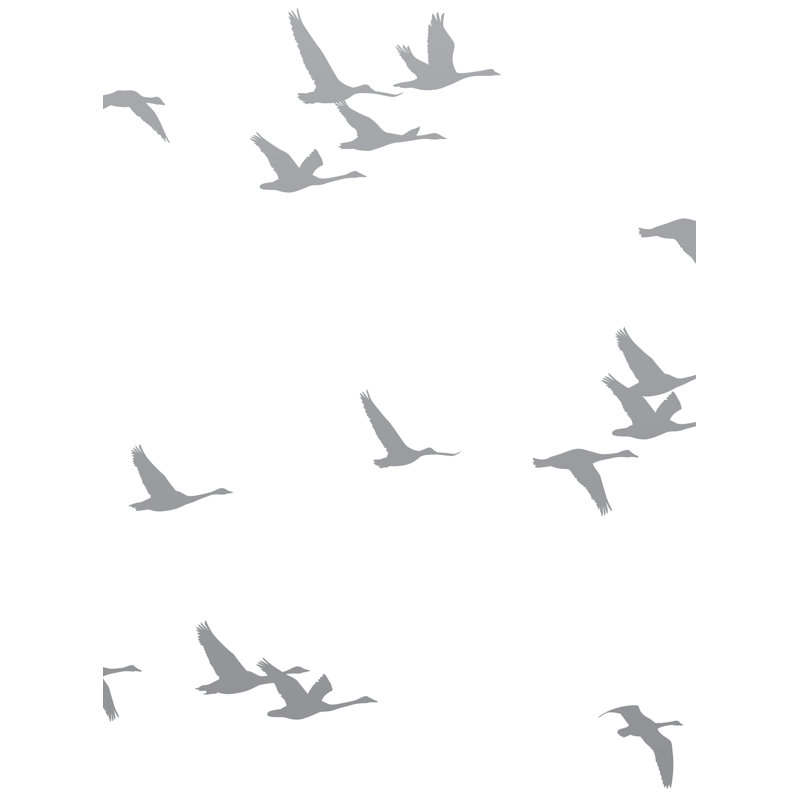 Papier peint adhésif Soaring Birds, L 108 po x l 96 po, Gris