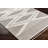 Hrinda Laron Machine Woven Polyester Area Rug in Gray-1748118541