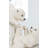 Polar Bear Cubs Playing