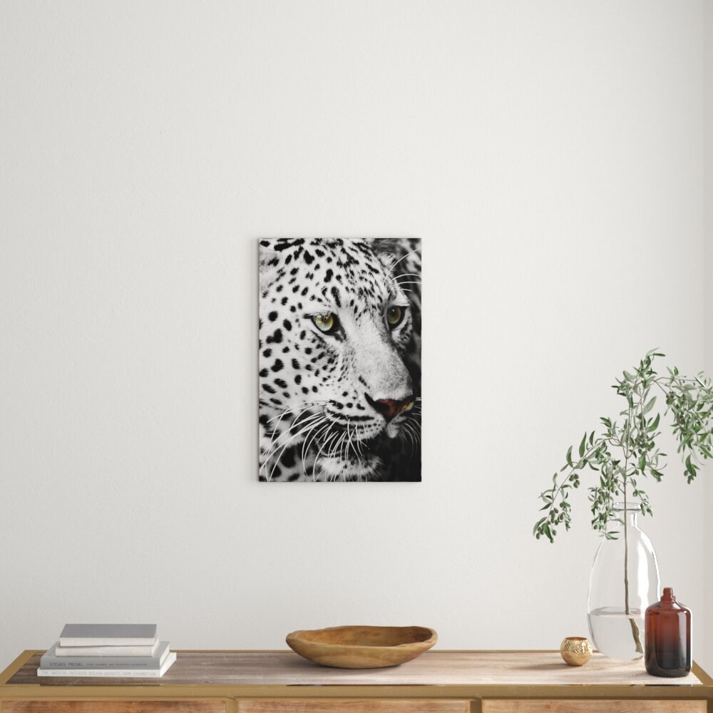 Leinwandbild Weißer Leopard, Fotodruck