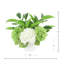 Assortiment d'hortensias et de rohdeas dans un pot en fibre de pierre