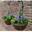 23cm Faux Flowering Topiary in Basket