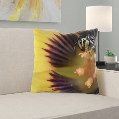 Coussin wasp