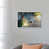 White Framed selected