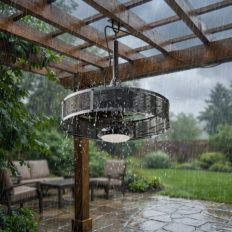 20" Boho Plug-in Outdoor Caged Ceiling Fan with LED Light and Remote, Black
