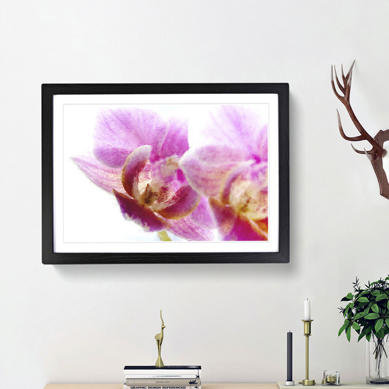 A Pink Orchid Flower - Picture Frame Photograph Print, 62cm H x 87cm W x 2cm D, Black Framed