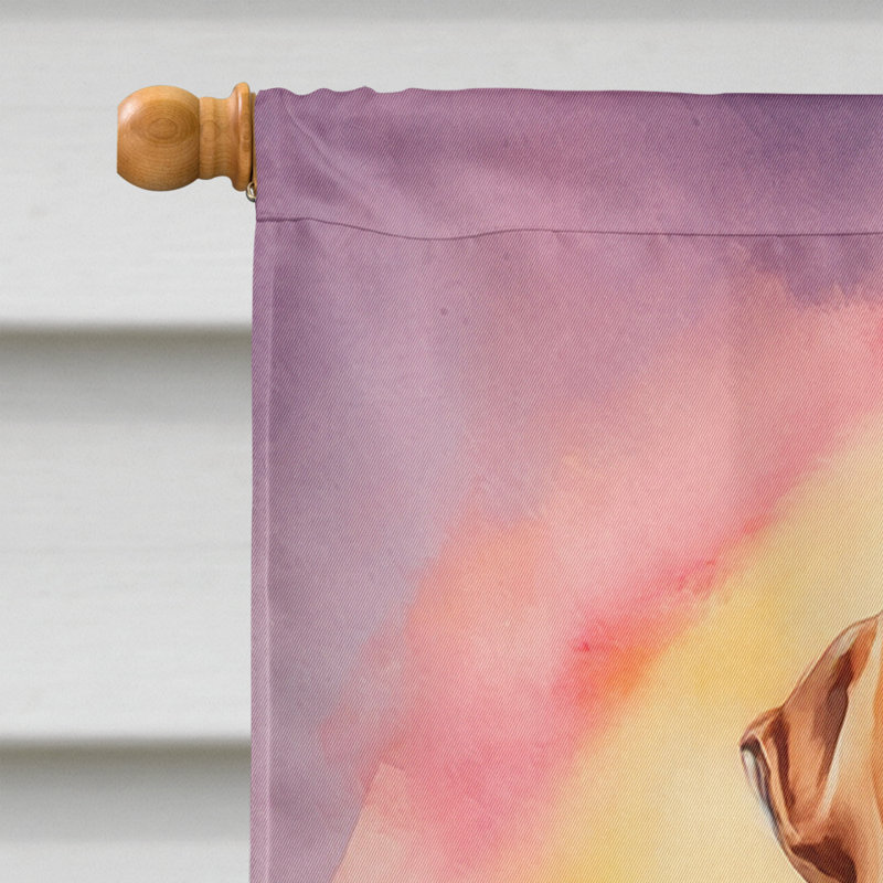 Drapeau «Happy Birthday House», Braque hongrois à poil court