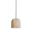 Onn Pendant