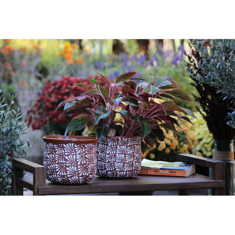 Pot Champanera - CHRYSANTHÈME TERRE CUITE (23 cm L x 19 cm H) Petit pot en terre cuite (lot de 4) - Intérieur/Extérieur