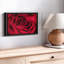Velours rouge rosé sur toile-102860115