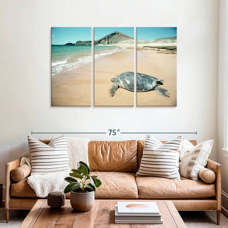 Brampt Galapagos Loggerhead Turtle, 36" H x 57" W