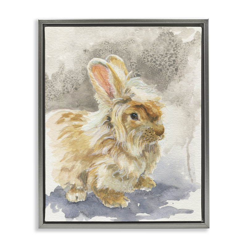 "Angora Bunny", aquarelle encadrée par Jennifer Redstreake, Cadre flottant gris lustré, H 21 po x l 17 po