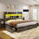 Sherell Bed Frame with 4 Storage Drawers