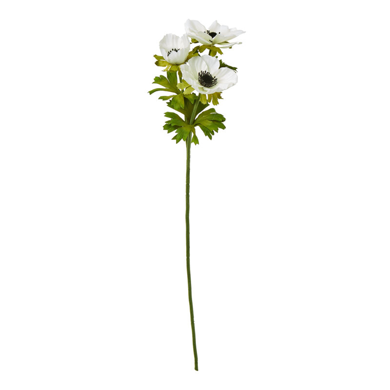 Anastasija Arrangement