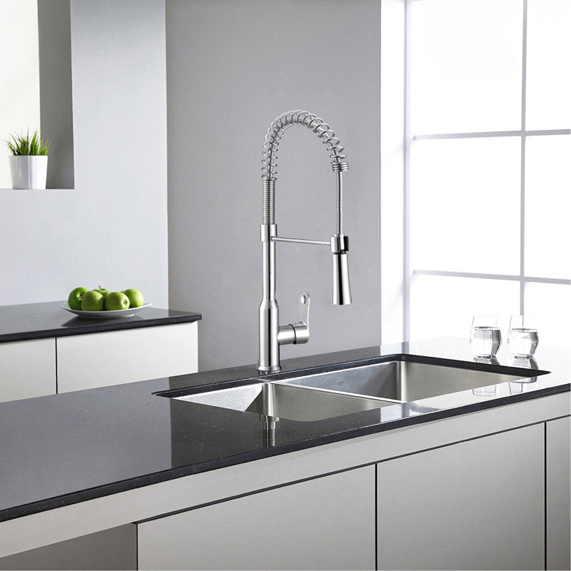 Safavieh Euphoria Pull Down Kitchen Faucet