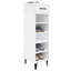 6 Pair Shoe Storage Cabinet-146549311