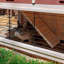 Weather Resistant Rabbit Hutch