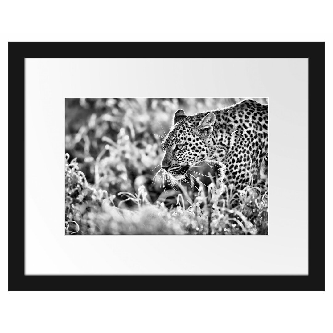 Gerahmtes Poster Jagender Leopard