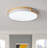 Acrylic LED Flush Mount-1520321321