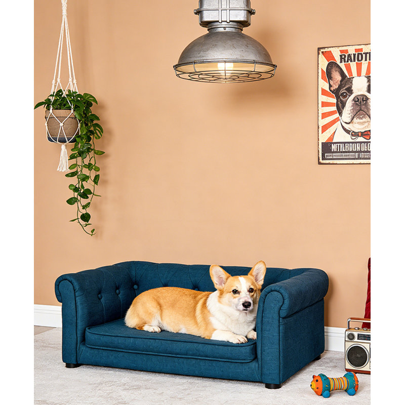 Canapé-lit pour chien durable, Bleu