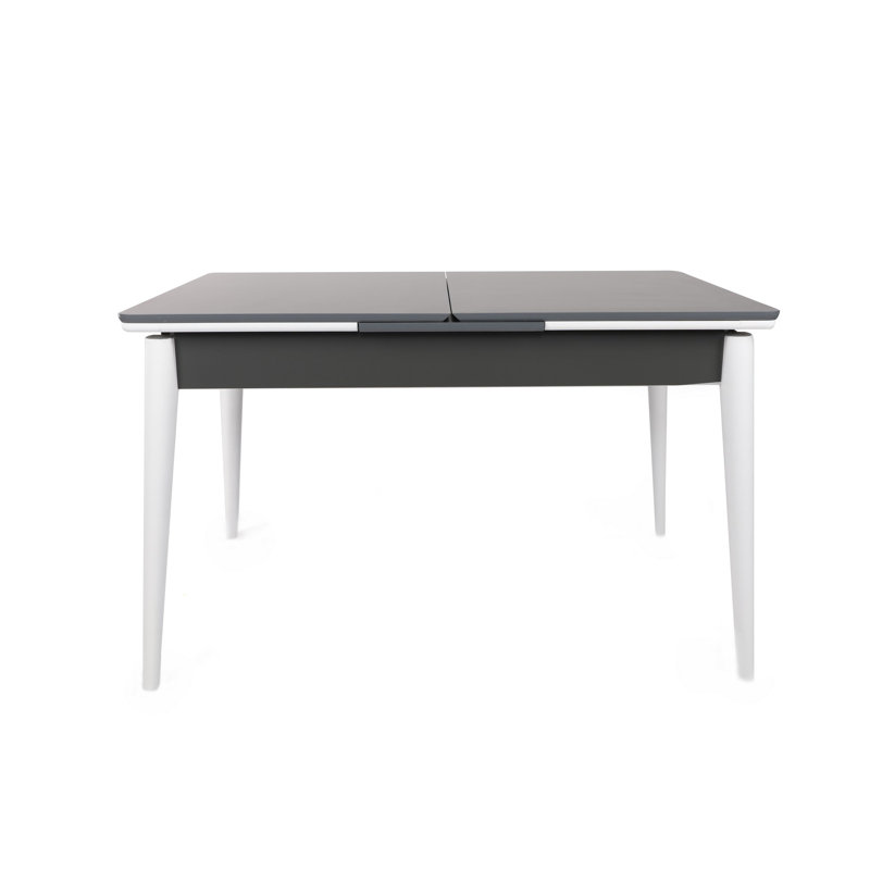 Table de salle à manger extensible, Gris / Blanc
