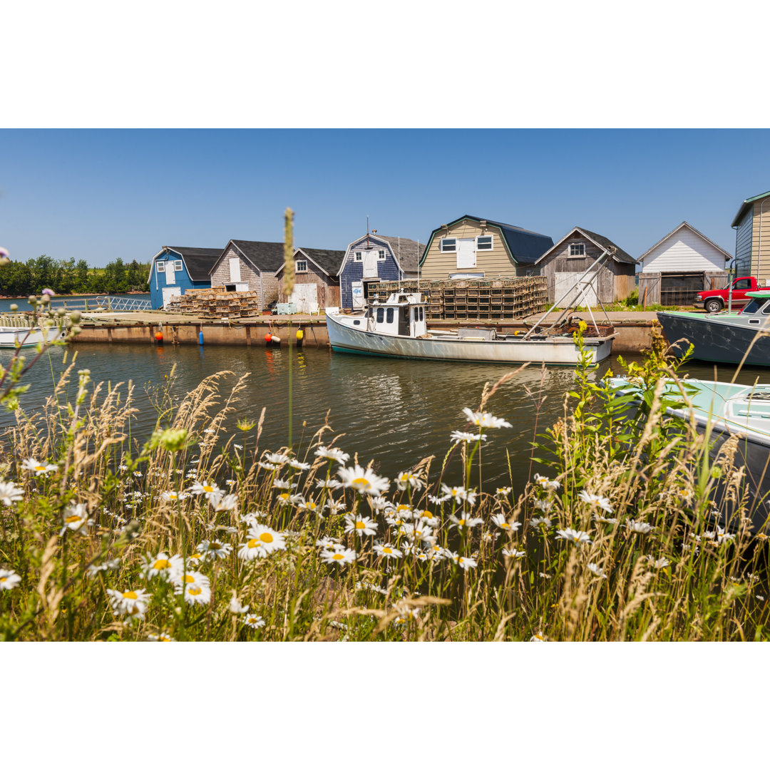 Seaside View Of Prince Edward Island Canada by Elena Elisseeva - Wrapped Canvas Print