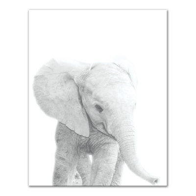 Art sur toile d’éléphant baby Becerra