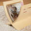 Portwood Wood Free Standing Magazine Rack-798230120