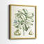 Reproduction encadrée de qualité supérieure Buchoz Tropicals IX - prête à être accrochée-1856808748-1856808721