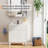 Jadaya Sharee 30" Freestanding Single Bathroom Vanity Set with Sink Top, Zinc Alloy Faucet, Soft-Close Doors-2005318846