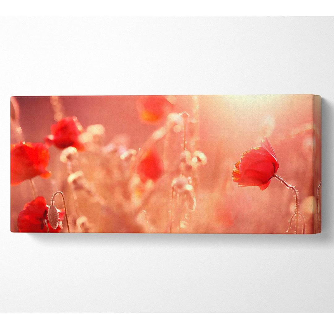 Sommerlicht - Kunstdrucke auf Leinwand - Wrapped Canvas