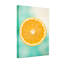 Plantes et fleurs, tranche d'orange sur fond turquoise-1316598713