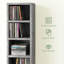 175cm H x 21cm W Bookcase