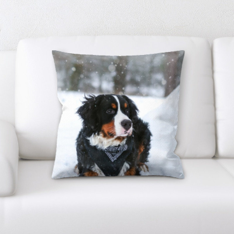 Microsuede Reversible Throw Pillow