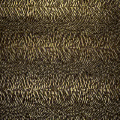 Tissu rayonnant