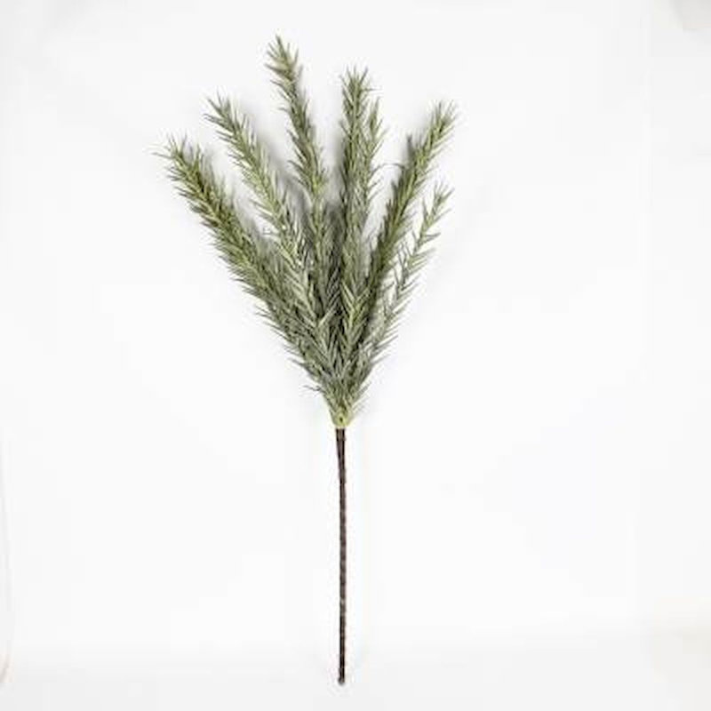 Bourre de vase plante Arron
