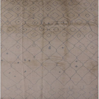 Boomery Oriental Indoor Rug