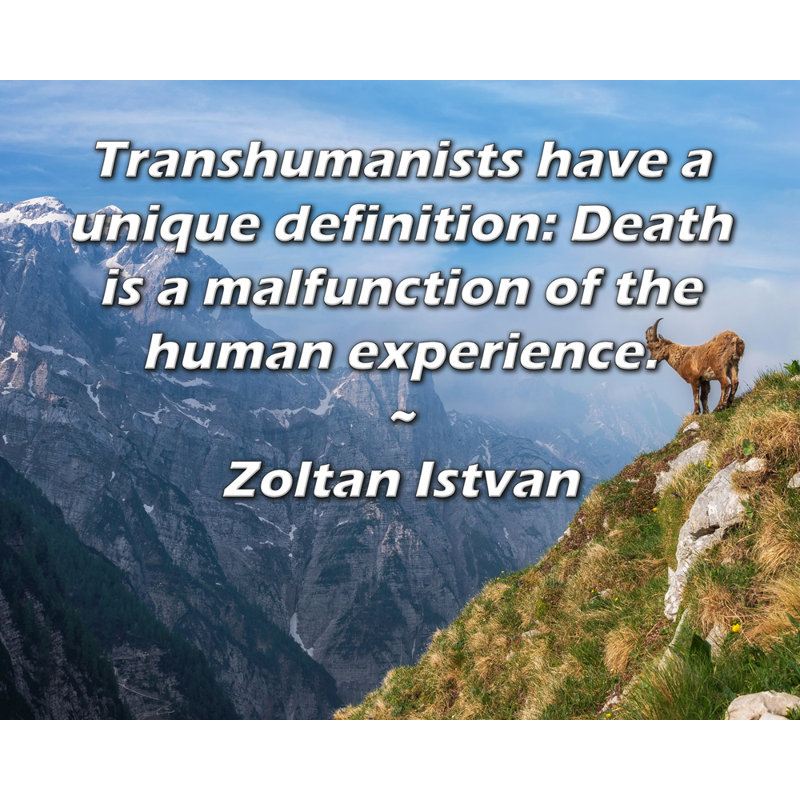 Toile tendue de la galerie ArtsyQuotes par Zoltan istvan: «Les transhumanistes ont une définition unique: la mort est un mauvais fonctionnement de l'expérience humaine».