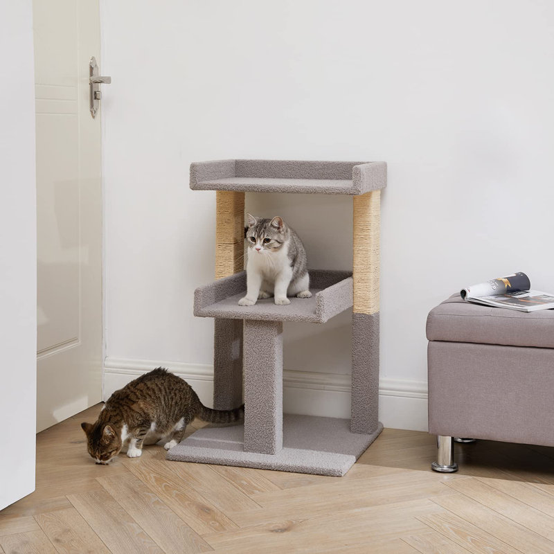 Arbre à chat à 2 niveaux Tott and Eling; Chat pour chat avec perchoir; Tours de chat robustes pour grands chats d'intérieur