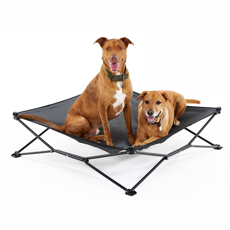 Lit pour animal de compagnie, H 11,5 po x l 41 po x P 41 po, gris